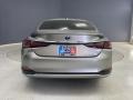 Atomic Silver - ES 300h Photo No. 5
