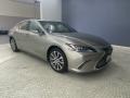 Atomic Silver - ES 300h Photo No. 38