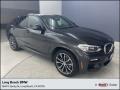 2019 Dark Graphite Metallic BMW X4 xDrive30i #144183938