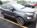 Smoke Metallic - EcoSport Titanium 4WD Photo No. 4