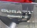 2015 Carbide Gray Metallic Subaru Outback 2.5i Premium  photo #33