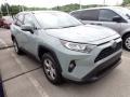 Lunar Rock - RAV4 XLE Photo No. 3