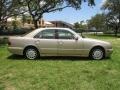 Desert Silver Metallic - E 320 Sedan Photo No. 13