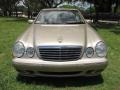 Desert Silver Metallic - E 320 Sedan Photo No. 47