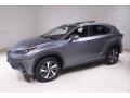 Nebula Gray Pearl - NX 300 AWD Photo No. 3