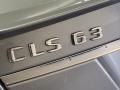 2012 Palladium Silver Metallic Mercedes-Benz CLS 63 AMG  photo #10