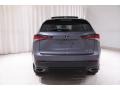 Nebula Gray Pearl - NX 300 AWD Photo No. 20