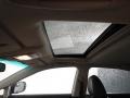 2010 Tungsten Silver Pearl Lexus RX 450h AWD Hybrid  photo #6