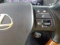 2010 Tungsten Silver Pearl Lexus RX 450h AWD Hybrid  photo #21