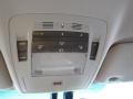 2010 Tungsten Silver Pearl Lexus RX 450h AWD Hybrid  photo #27
