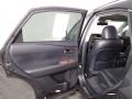 2010 Tungsten Silver Pearl Lexus RX 450h AWD Hybrid  photo #29