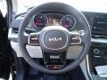 Gray 2023 Kia Carnival LX Steering Wheel