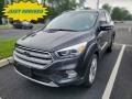 Magnetic 2019 Ford Escape Titanium 4WD