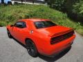 Go Mango - Challenger R/T Photo No. 8