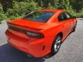 Go Mango - Charger GT Plus Photo No. 6