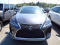 Cloudburst Gray - RX 350L AWD Photo No. 2