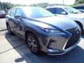 Cloudburst Gray - RX 350L AWD Photo No. 3