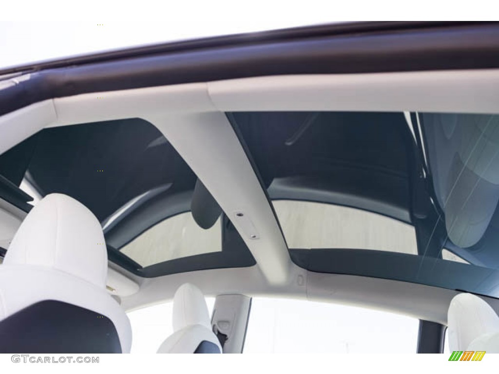 2021 Tesla Model 3 Long Range Sunroof Photo #144340414