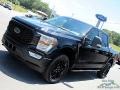 Agate Black Metallic - F150 STX SuperCrew 4x4 Photo No. 25