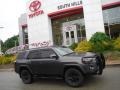 Magnetic Gray Metallic - 4Runner SR5 Premium 4x4 Photo No. 2