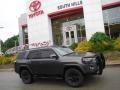 2015 Magnetic Gray Metallic Toyota 4Runner SR5 Premium 4x4  photo #2