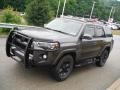 2015 Magnetic Gray Metallic Toyota 4Runner SR5 Premium 4x4  photo #15