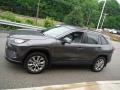 Magnetic Gray Metallic - RAV4 XLE Premium AWD Photo No. 13