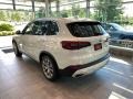 Alpine White - X5 xDrive40i Photo No. 2