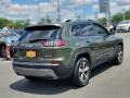 2020 Olive Green Pearl Jeep Cherokee Limited 4x4  photo #7