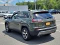 2020 Olive Green Pearl Jeep Cherokee Limited 4x4  photo #9