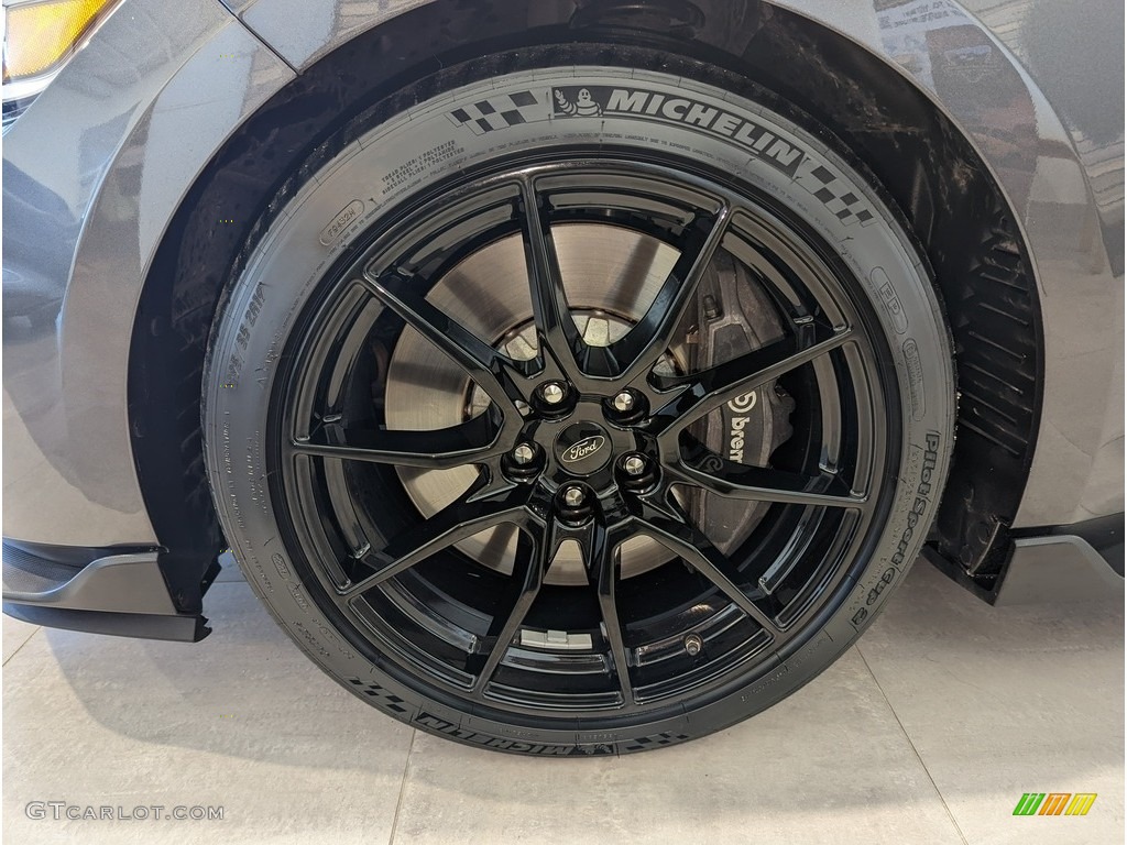 2019 Ford Mustang Shelby GT350 Wheel Photos