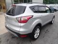 2018 Ingot Silver Ford Escape SEL 4WD  photo #2