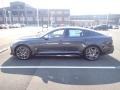  2023 Stinger GT2 Panthera Metal