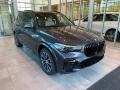 2022 Arctic Gray Metallic BMW X5 xDrive40i #144393372