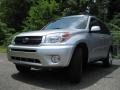 Titanium Metallic - RAV4  Photo No. 4