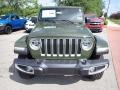 Sarge Green - Wrangler Unlimited Sahara 4x4 Photo No. 8