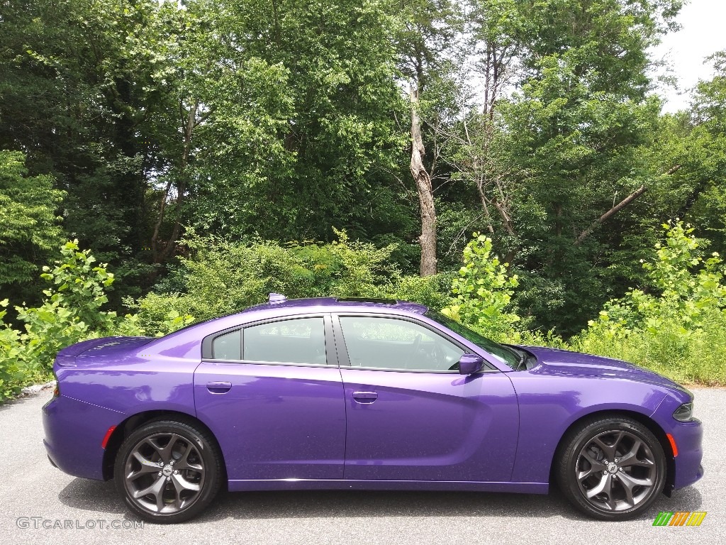 2019 Charger SXT - Plum Crazy Pearl / Black photo #5