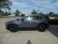 Polymetal Gray Metallic - CX-30 S Carbon Edition AWD Photo No. 6