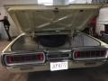 Black Trunk Photo for 1965 Ford Thunderbird #144408537