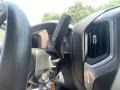 2019 Northsky Blue Metallic Chevrolet Silverado 1500 Custom Z71 Trail Boss Double Cab 4WD  photo #14