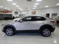 Platinum Quartz Metallic - CX-30 S Premium AWD Photo No. 6