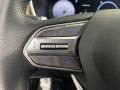 Beige Steering Wheel Photo for 2022 Hyundai Santa Fe #144413485