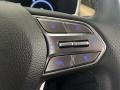 2022 Hyundai Santa Fe Beige Interior Steering Wheel Photo