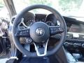 Black Steering Wheel Photo for 2022 Alfa Romeo Giulia #144433899