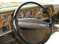 1972 Chevrolet Monte Carlo Covert Beige Interior Steering Wheel Photo