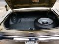 Covert Beige Trunk Photo for 1972 Chevrolet Monte Carlo #144437877