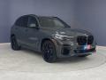 2022 Dravit Grey Metallic BMW X5 M50i  photo #27