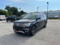 Agate Black Metallic 2019 Ford Expedition Limited Max 4x4