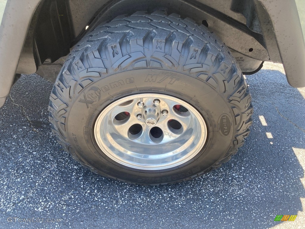 2000 Wrangler Sport 4x4 - Forest Green Pearl / Agate photo #28
