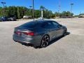 Daytona Gray Pearl - RS 5 Sportback 2.9T quattro Photo No. 5